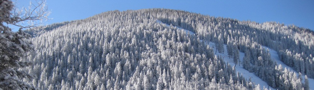 cropped-Twining-exterior.jpg